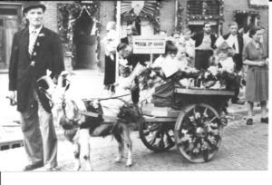 In de Bevrijdingsoptocht liep Van Ling natuurlijk mee met een echte bokkenwagen. Maar wel aangepast aan de situatie: in de versierde kar plaatste hij drie buurmeisjes onder het bordje met de tekst: ‘Terug uit Canada.’ Zo maakte hij duidelijk dat de drie prinsesjes in Nederland waren aangekomen. Het geheel werd gewaardeerd door de jury: hij won de eerste prijs: een fruitmand. Toen hij de fruitmand in ontvangst wilde nemen, griste de buurvrouw die voor zijn neus weg. ‘Wat doe je met mijn prijs?’ vroeg Van Ling aan de wegsnellende buurvrouw. Zij antwoordde: ‘Het zijn míjn dochters!’ En zo kon de heer van Ling naar zijn prijs fluiten. Maar het is wel een mooie foto geworden.